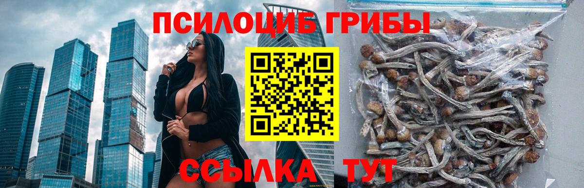 Приморско-Ахтарск  Галлюциногенные грибы мухоморы  Галлюциногенные грибы MAGIC MUSHROOMS  Вход с VPN 
