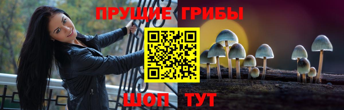 Галлюциногенные грибы Psilocybine cubensis Приморско-Ахтарск
